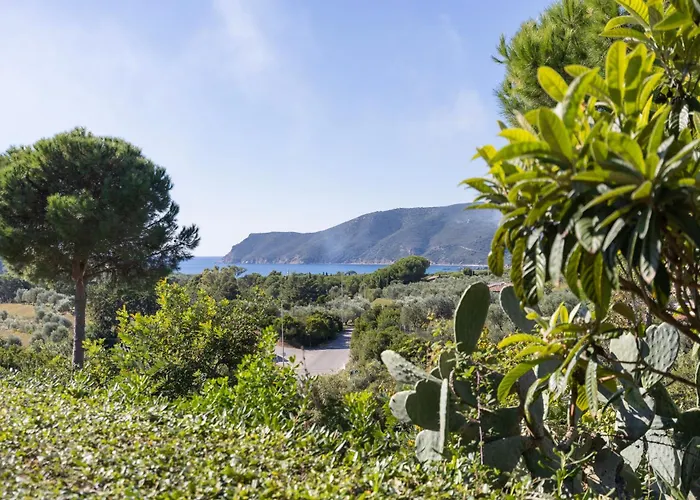 La Chiocciola By Elbasummer Apartmán Lacona